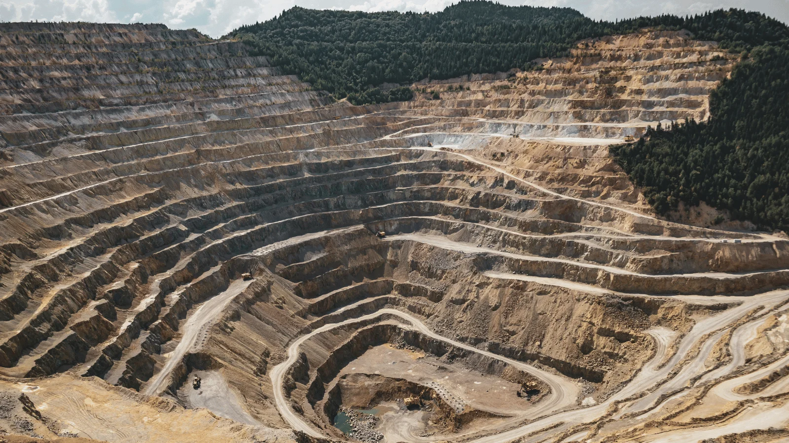 case-study-website-image (3)